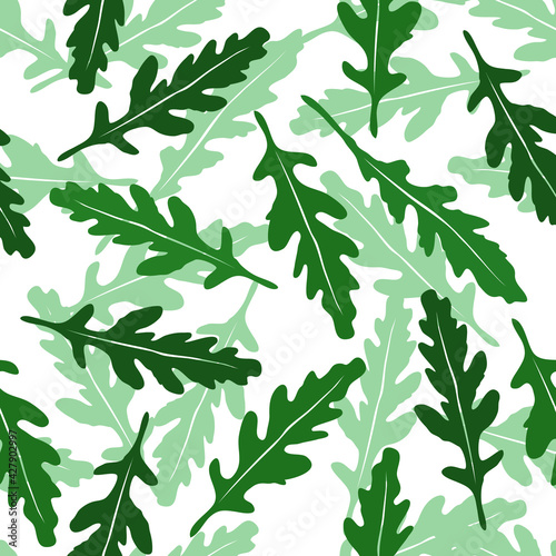 Seamless pattern arugula salad. Vector background with leaves isolated on white fon. Healthy food concept