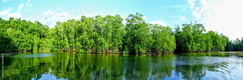 Sur la rivière Sierpe, péninsule d'Osa dans le Sud du Costa Rica