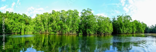 Sur la rivière Sierpe, péninsule d'Osa dans le Sud du Costa Rica