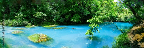 Obraz na płótnie Rio Celeste dans le parc national Tenorio au Costa Rica w salonie