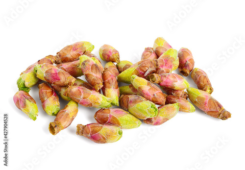 A Pile of Ribes Nigrum Buds. Also Known as Blackcurrant or Cassis. Medicinal Raw Material. Isoalted on White.