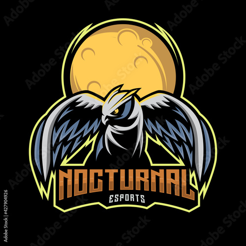 Nocturnal Owl birds esport logo design. A bird with a Moon Background. Mascot design