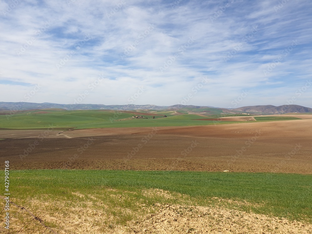 Obraz premium Some beautiful landscapes from the field during the winter in Algeria