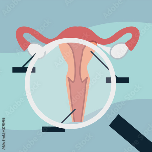 examine uterus with magnifier