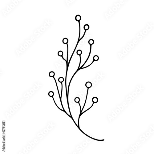 Single herbal element in doodle style isolated. Illustration for greeting cards, wedding design, prints, seasonal design, stickers or natural cosmetic packaging. Outline of cute simple floral element.