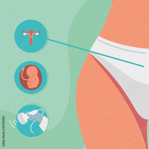 gynecology female anatomy