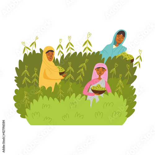 Asian women harvest green peas mung bean. The girls are harvesting vegetables from green bushes. Agricultural production. Modern vector illustration