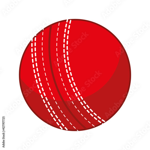 ball for cricket
