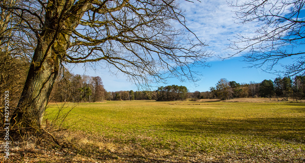 Eine menschenleere Landschaft im Land Brandenburg in der Nähe von Berlin. Es ist Frühling, am blauen Himmel sind wenige Wolken zu sehen. Eine menschenleere Landschaft im Land Brandenburg in der Nähe von Berlin. Es ist Frühling, am blauen Himmel sind wenige Wolken zu sehen.