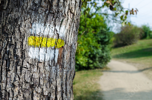 Yellow tourist sign on a tree. Detail of touristic marking on hiking trails. Marks painted on the tree trunk typical for the Czech Republic.