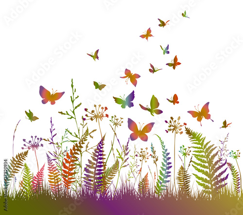 Floral colorful background with silhouettes of fern, flowers and butterflies. Spring or summer background.