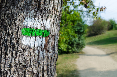 Green tourist sign on a tree. Detail of touristic marking on hiking trails. Marks painted on the tree trunk typical for the Czech Republic.