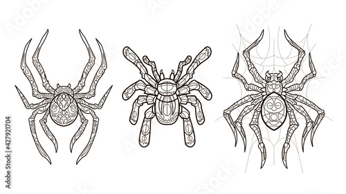Abstract spiders outline illustration coloring book page for adult. Set  Vector hand draw clipart for art therapy, tattoo, for design element, poster.