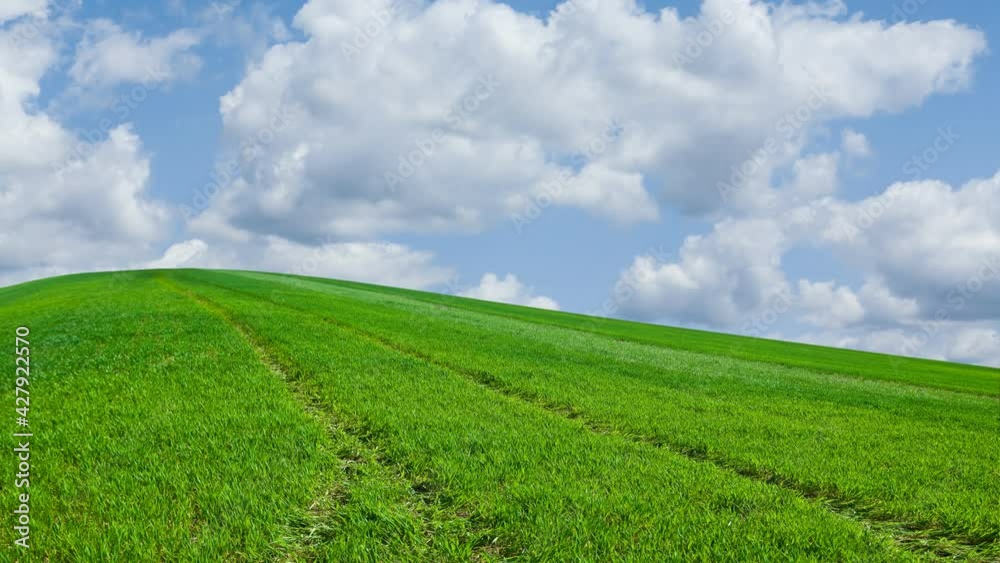 green grass hill under a blue cloudy sky, rural countryside time lapse scene