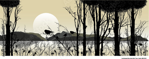 little bird in the sunset and landscape
