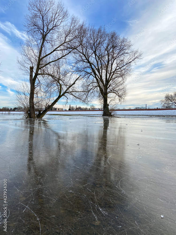 Frozen flood Rhine water between dikes and trees, Rhineland, Düsseldorf, Germany Frozen flood Rhine water between dikes and trees, Rhineland, Düsseldorf, Germany