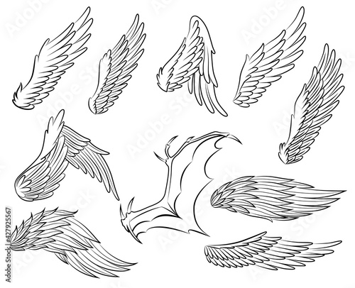Collection of vintage heraldic wings sketch. Monochrome stylized birds wings. Hand drawn contoured stiker wing in open position. Design elements in coloring style