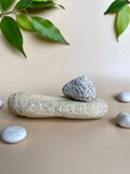 Spa background for natural cosmetics.  A podium made of natural natural material, wood, sea pebbles and green leaves on a beige background.  Copy space.