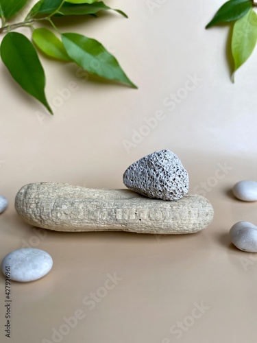 Spa background for natural cosmetics.  A podium made of natural natural material, wood, sea pebbles and green leaves on a beige background.  Copy space.