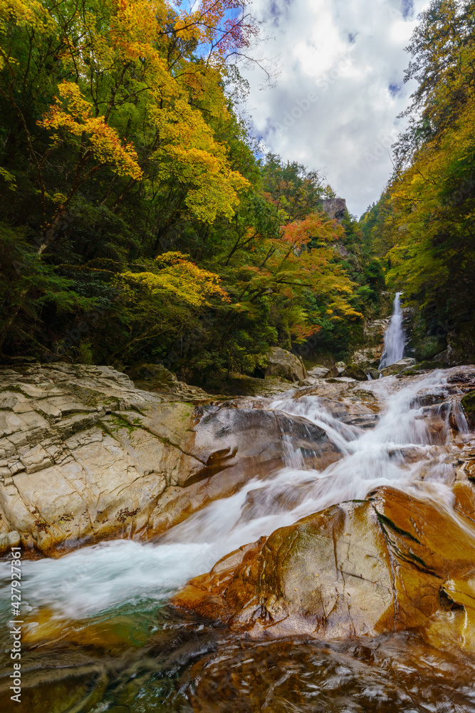 Obraz premium 紅葉の笹の滝 奈良県十津川村