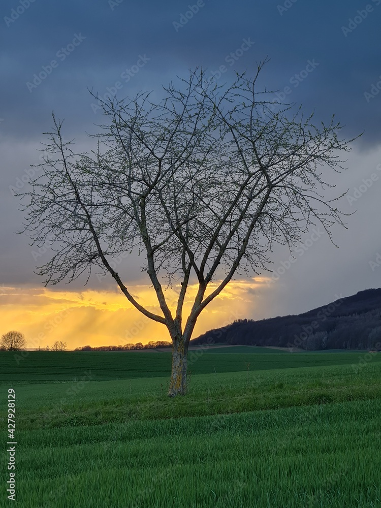 Obraz premium Country landscape in sunshine in Germany