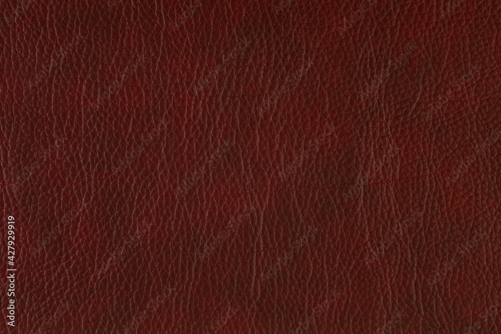 Fototapeta premium Artificial Leather Background Synthetics