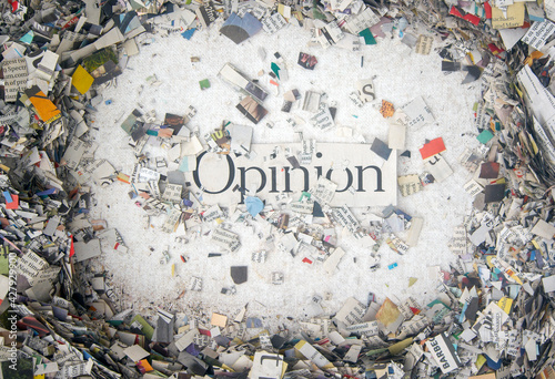 Opinion on a bed of cut up Newspaper