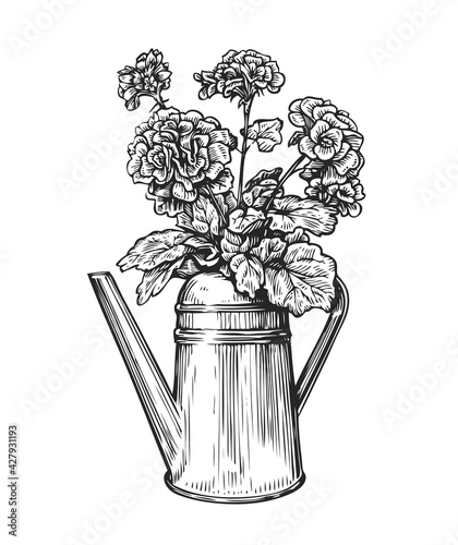 Flowers in a pot. Bouquet and watering can in sketch style. Gardening vintage vector illustration