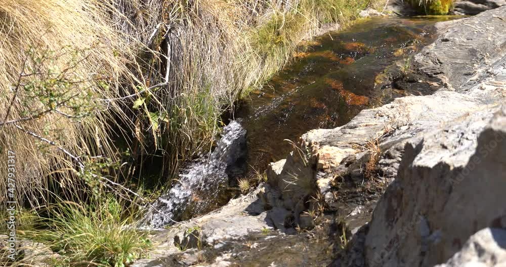 stream of water on the mountain stream of water on the mountain
