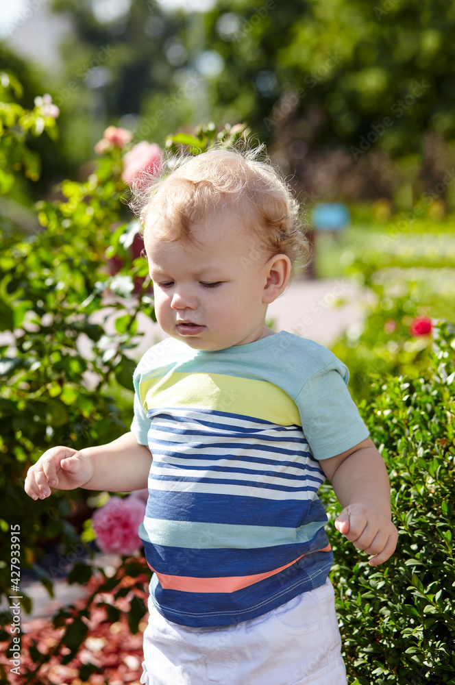 Little boy walking in the park. The concept of a happy childhood, summer outdoor recreation, summer vacation Little boy walking in the park. The concept of a happy childhood, summer outdoor recreation, summer vacation