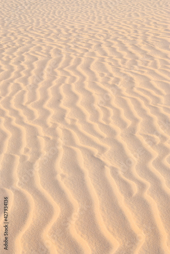 sand dunes in the desert