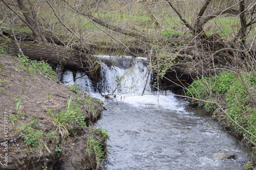 kleiner wilder Bach mündet in den Rhein photo