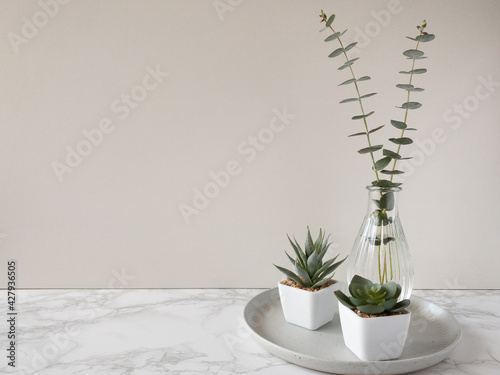 グレーの皿に置かれた多肉植物とガラスの花瓶に生けられたユーカリ銀世界右配置