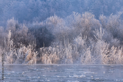Winter morning by the river. Europe, Poland, the Pilica River. Floe, frost and rime.