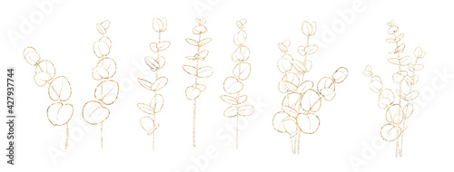 Set of differents gold eucalyptus branch on white background. Line art style with transparent background.