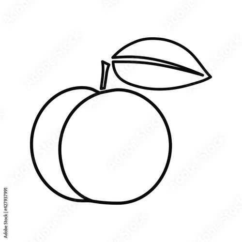 Victoria plum vector outline illustration in minimalistic style on white background