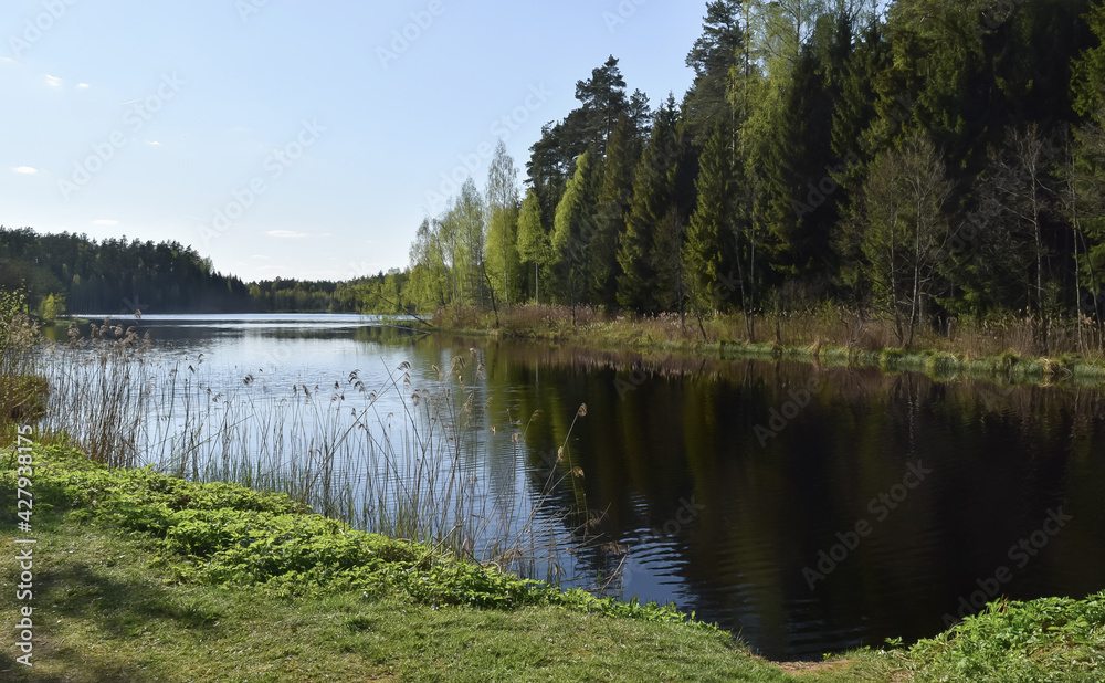 A lake with dark waters, surrounded by forest. Clear sunny day, blue sky, colorful landscape. Spring time. Horizontal photo. Scenery. 