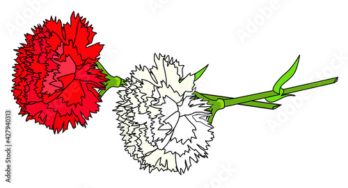 Claveles de Chulapa para San Isidro