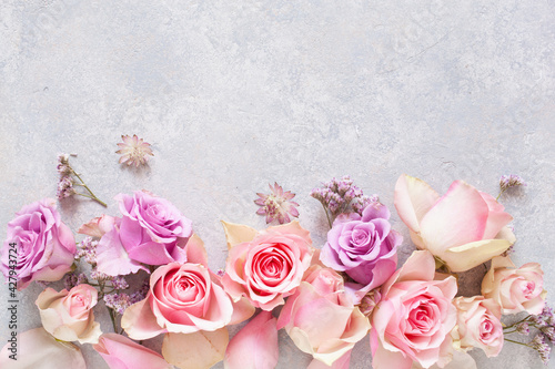 beautiful pink rose flowers background