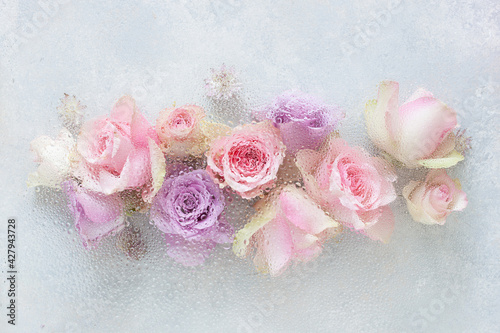 beautiful pink rose flowers through the glass with waterdrops background