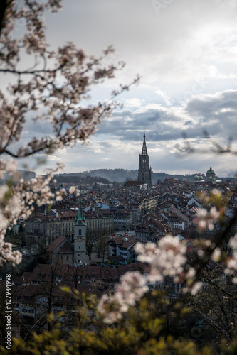 oldtown of Bern during cherry blossom with Berner Münster