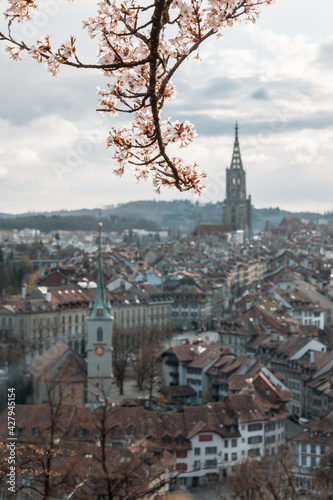 cherry blossom branch in front of the oldtown of Bern