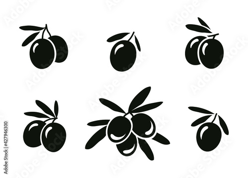 set of hand drawn isolated olive branches on white background