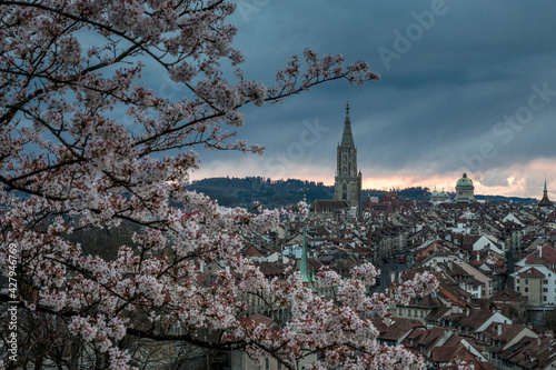 oldtown of Bern with Berner Münster during cherry blossom in Rosengarten