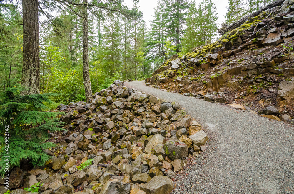 Fragment of Nita Lake Trail in Whistler, Vancouver, Canada. Fragment of Nita Lake Trail in Whistler, Vancouver, Canada.