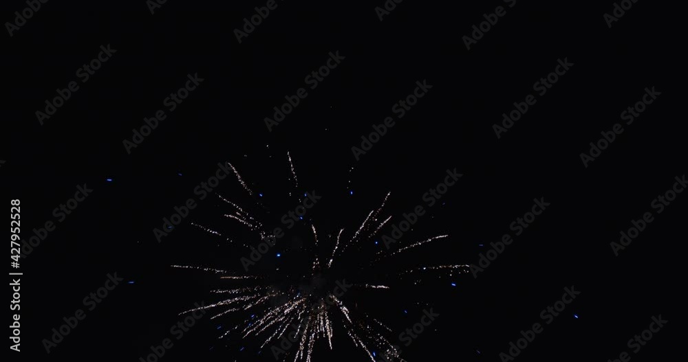 Palm of Blue and white fireworks display Palm of Blue and white fireworks display