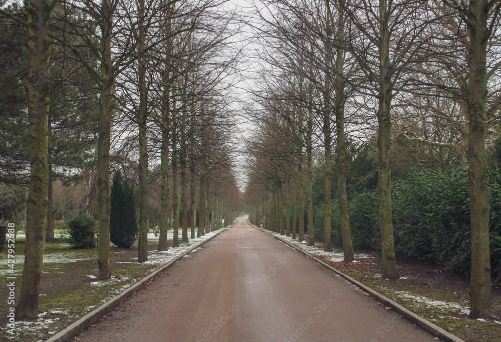 Día oscuro en el cementerio del oeste de Copenhague en invierno. Camino recto entre los árboles del jardín y parque público del cementerio. Dinamarca.