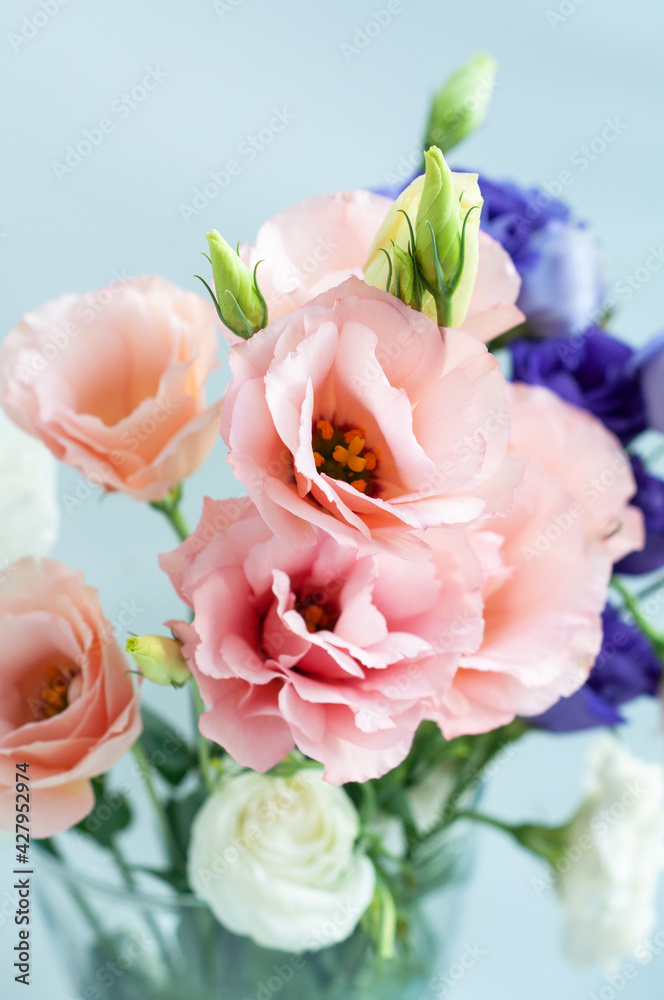 Beautiful pink eustoma flower (lisianthus) in full bloom with green leaves. Bouquet of flowers on white background. Soft focus.