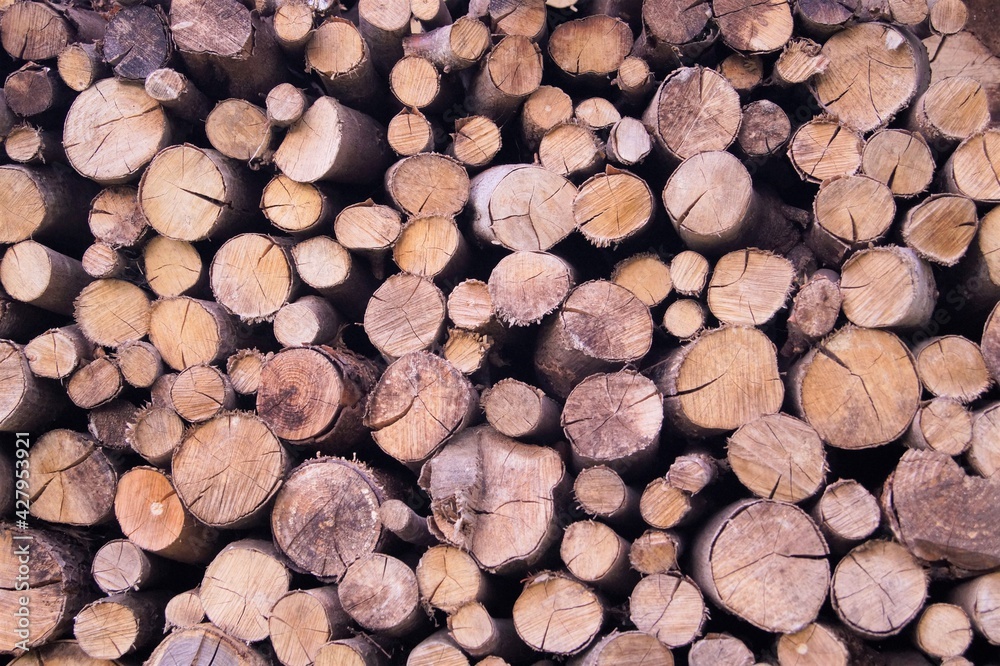 Fototapeta premium stock de bois