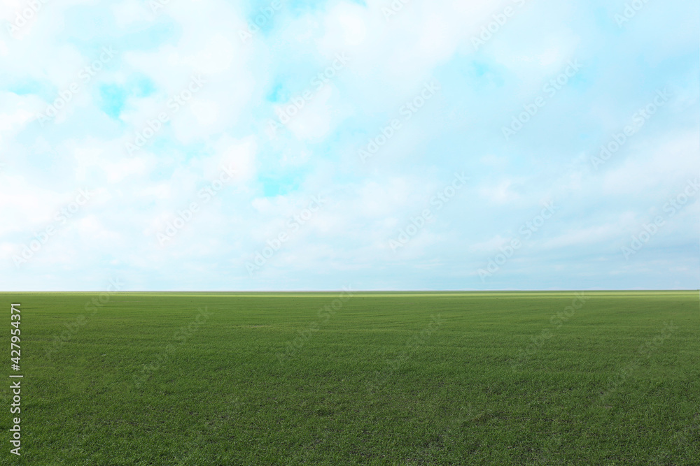 Picturesque view of beautiful countryside landscape with green grass Picturesque view of beautiful countryside landscape with green grass